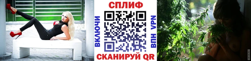 MEGA   Суровикино  МАРИХУАНА ГИДРОПОН 